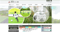 Desktop Screenshot of aifa.jp
